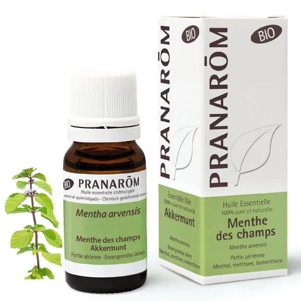 Pranarom huile essentielle de Menthe des champs Bio