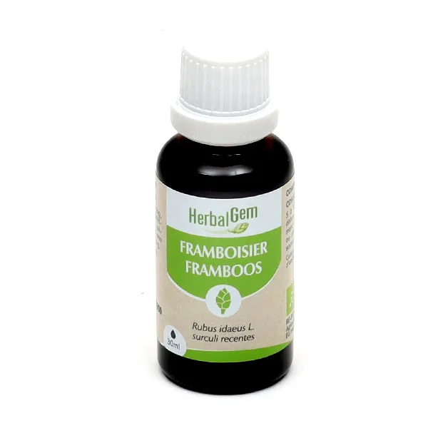 HerbalGem Framboisier Macérat concentré de bourgeons frais bio