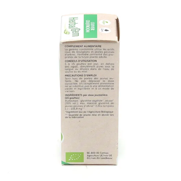 HerbalGem Olivier Jeunes pousses bio