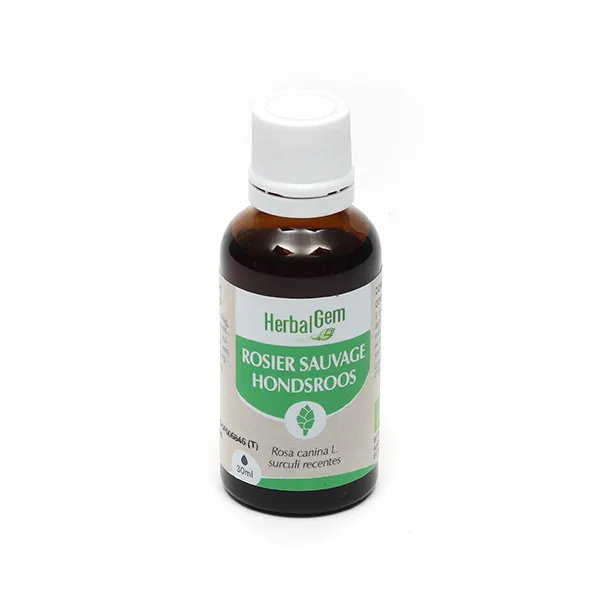 HerbalGem Rosier sauvage Concentré de bourgeons bio