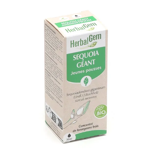 HerbalGem Sequoia géant