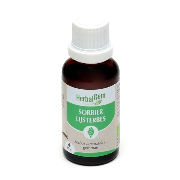 HerbalGem Sorbier concentré de bourgeons bio