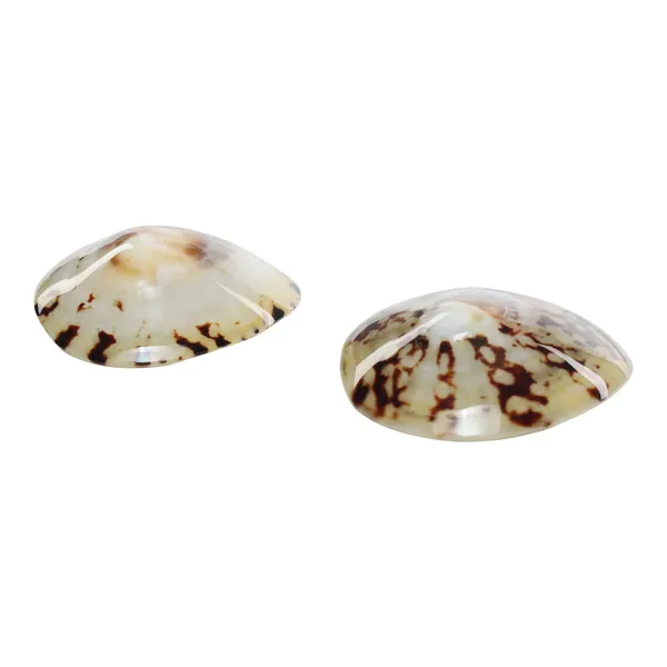 Mom's Shell Coquillage d'allaitement