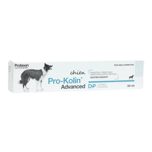 Pro Kolin Advanced Chien