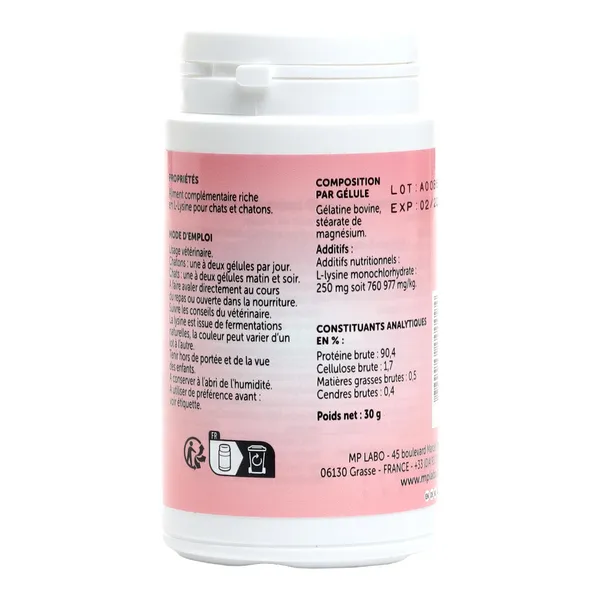 Lysine MP gélules