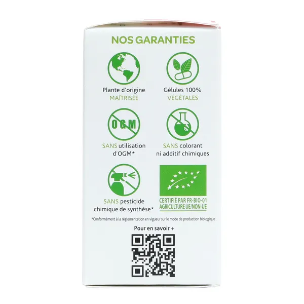 Arkogélules Bardane Bio gélules