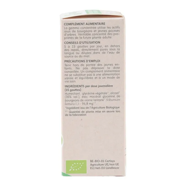 HerbalGem Viorne Lantane bourgeons Bio