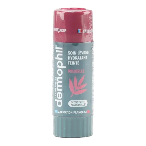 Dermophil Indien stick lèvre hydratant teinté prunelle