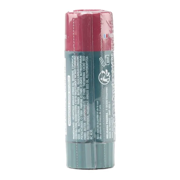 Dermophil Indien stick lèvre hydratant teinté prunelle