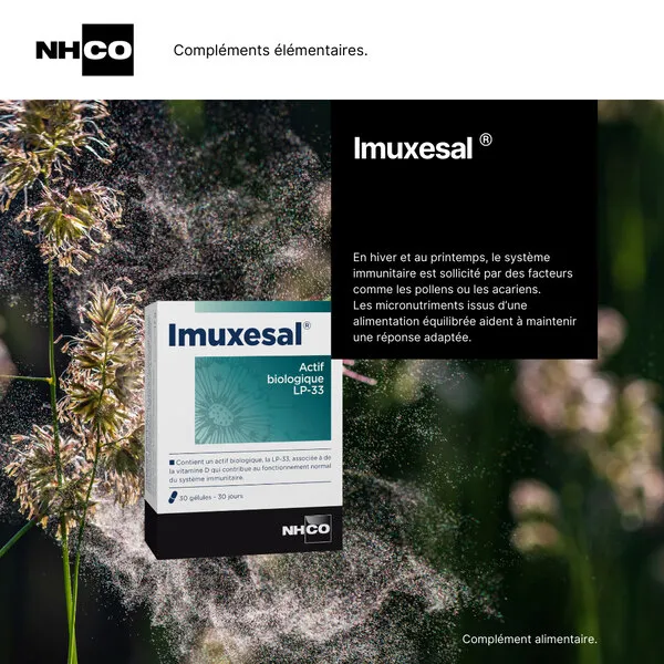 NHCO Imuxesal gélules