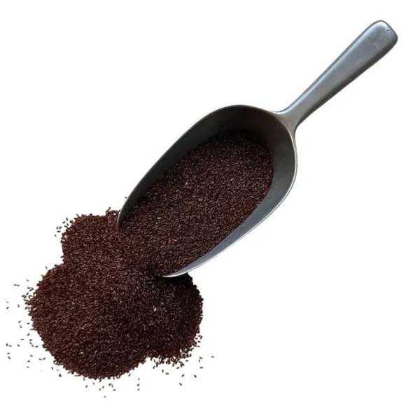 Iphym psyllium noir graine entière