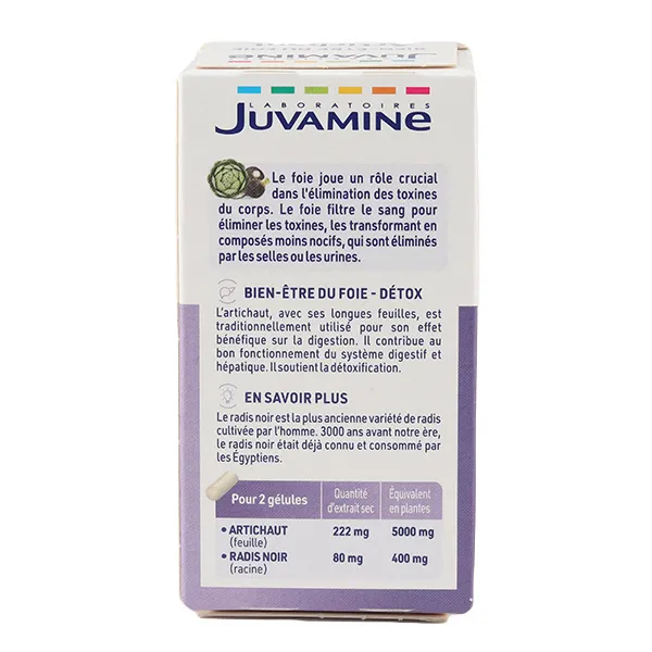 Juvamine Artichaut Radis noir gélules
