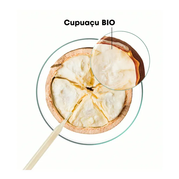 Klorane shampooing au beurre de Cupuaçu