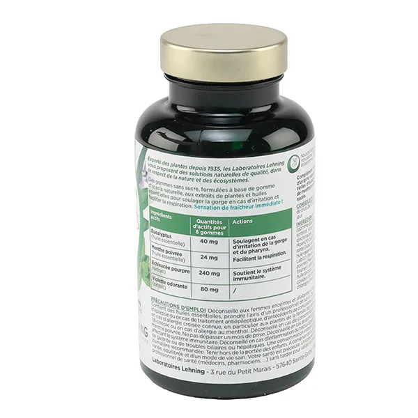 L52 Respiration gommes