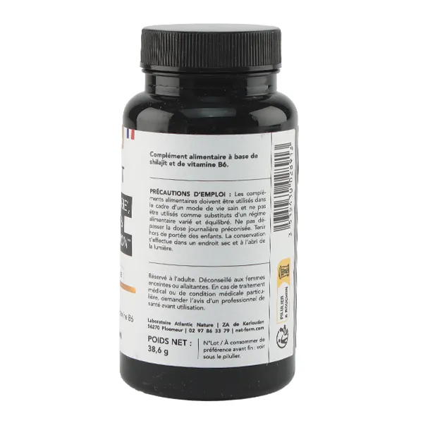Nat et Form Shilajit gélules