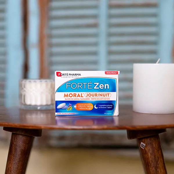 Forté Pharma Forté Zen Moral Jour/Nuit Comprimés