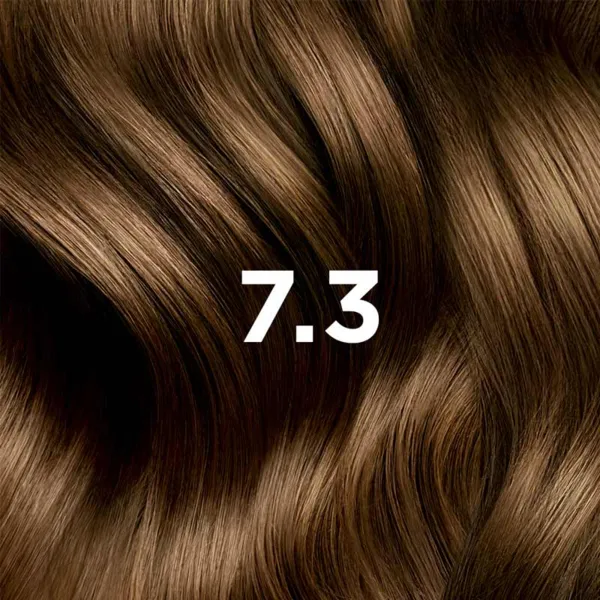 Phytocolor kit coloration permanente Blond doré 7.3