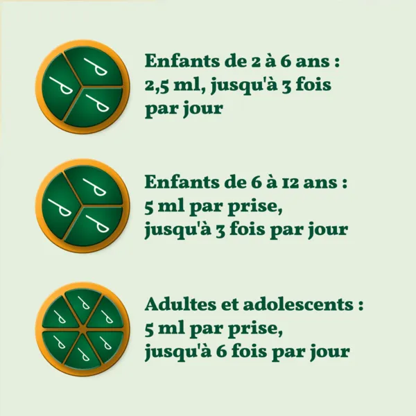 Phytoxil Toux et Gorge sirop