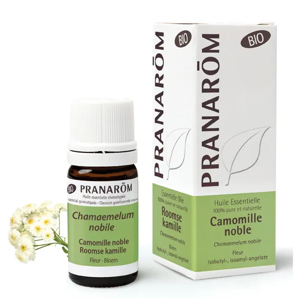 Pranarom huile essentielle Camomille noble Bio