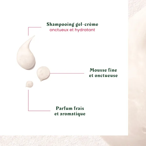 René Furterer Neopur shampooing antipelliculaire Pellicules sèches