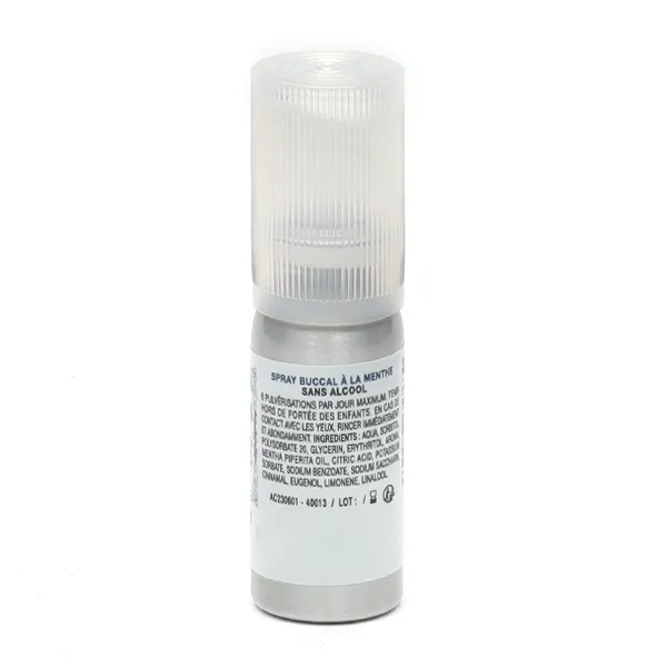 Ricqlès spray buccal menthe forte sans alcool
