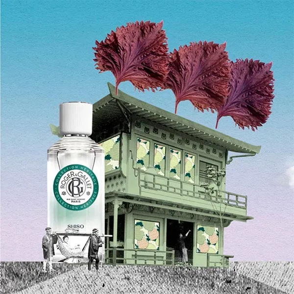 Roger et Gallet eau parfumée bienfaisante Shiso