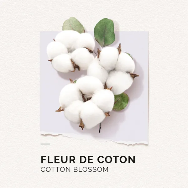 Solinotes Eau de Parfum Fleur de Coton
