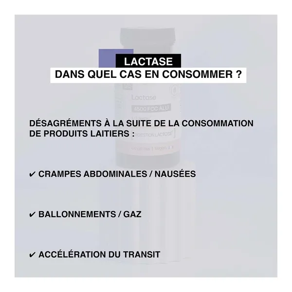 Nat et Form Lactase  gélules