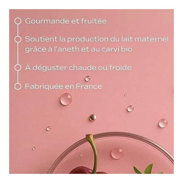 Weleda Tisane allaitement bio sachets