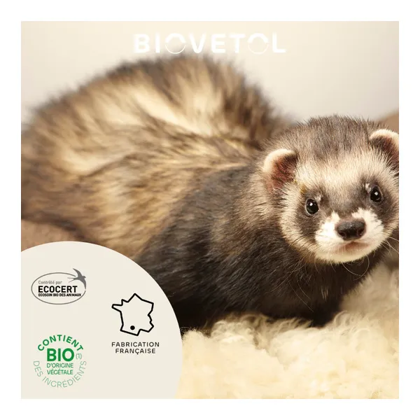 Biovetol pipettes antiparasitaires rongeurs et petits mammifères