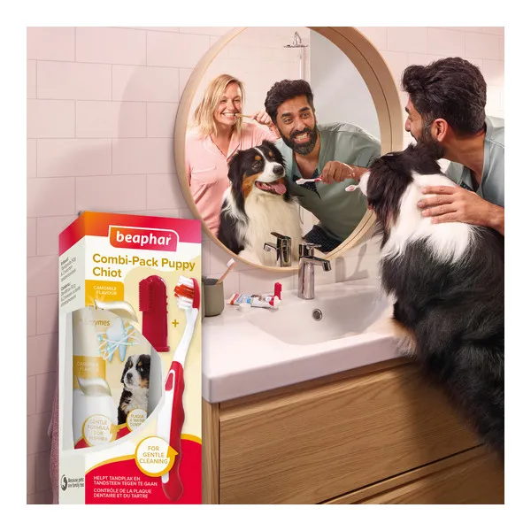 Beaphar Kit dentaire chiot