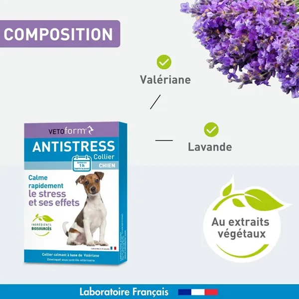 Vetoform collier anti stress chien