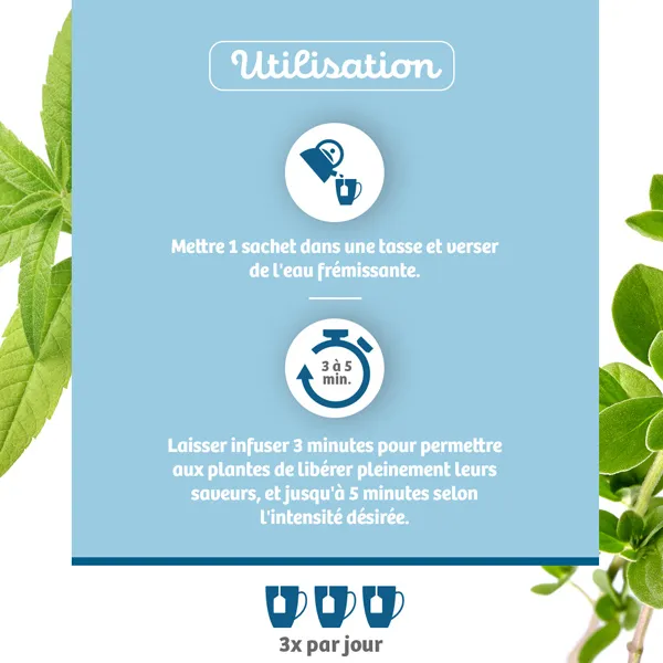 Bio Nutrisanté infusion Sommeil sachets