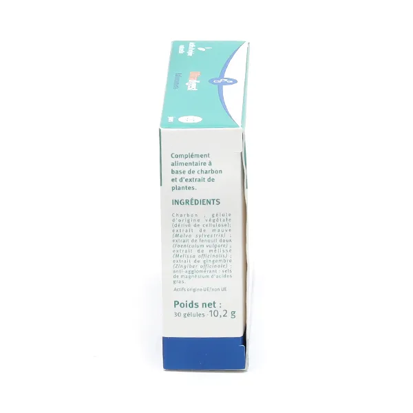 Vitavea Ultradigest ballonnements gélules