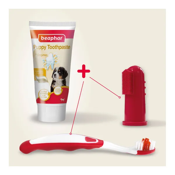 Beaphar Kit dentaire chiot