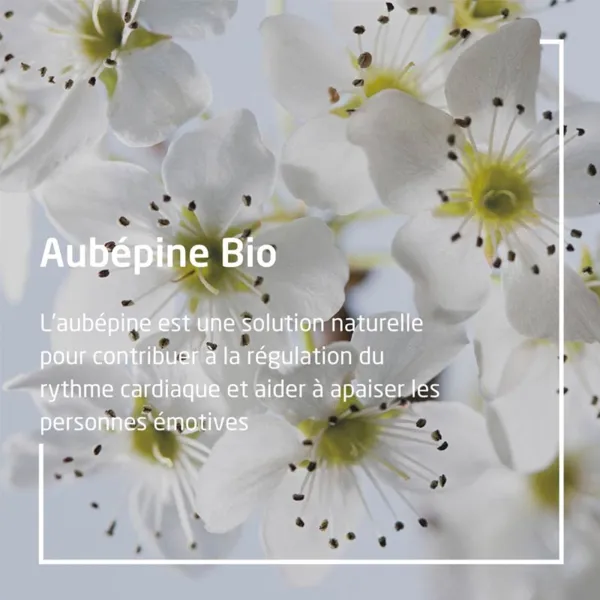 Weleda Emotivité Aubépine bio