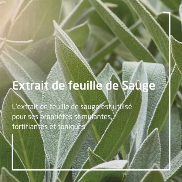 Weleda gel gingival à la Sauge
