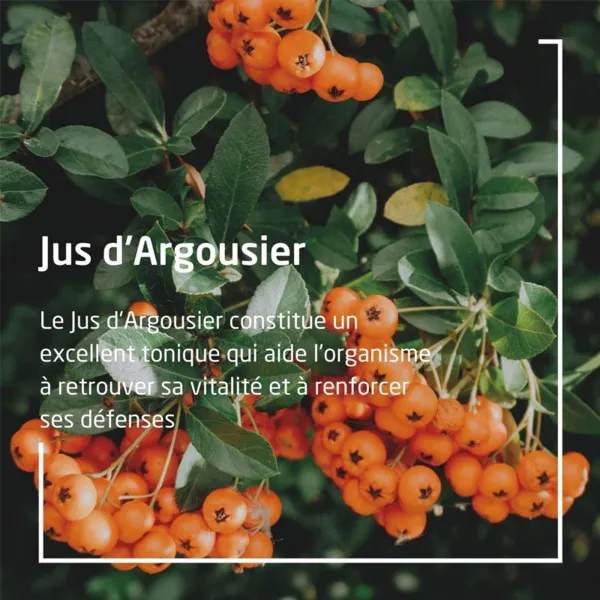 Weleda jus d'Argousier Bio