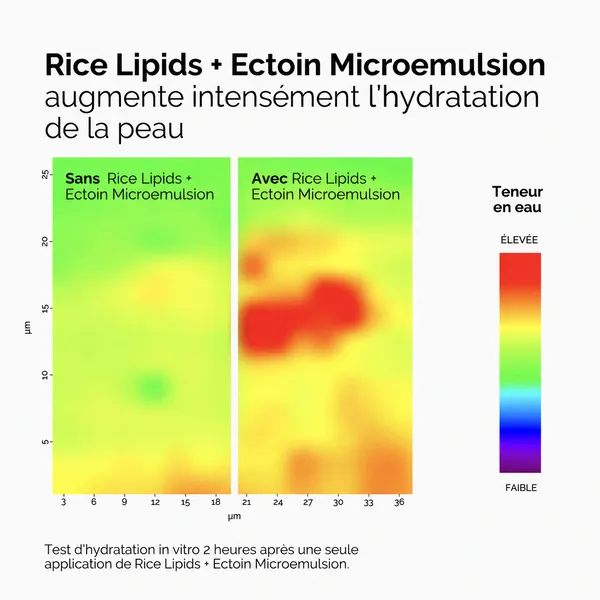 The Ordinary Microémulsion de Lipides de Riz + Ectoïne