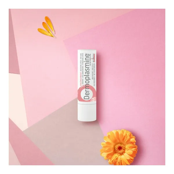 Boiron Dermoplasmine stick lèvres