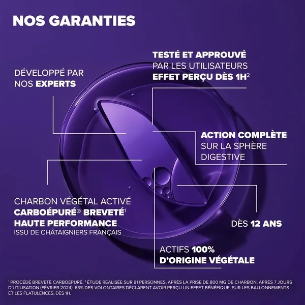 Arkodigest Expert Ballonnements et Flatulences gélules