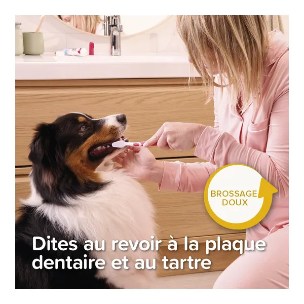 Beaphar Kit dentaire chiot
