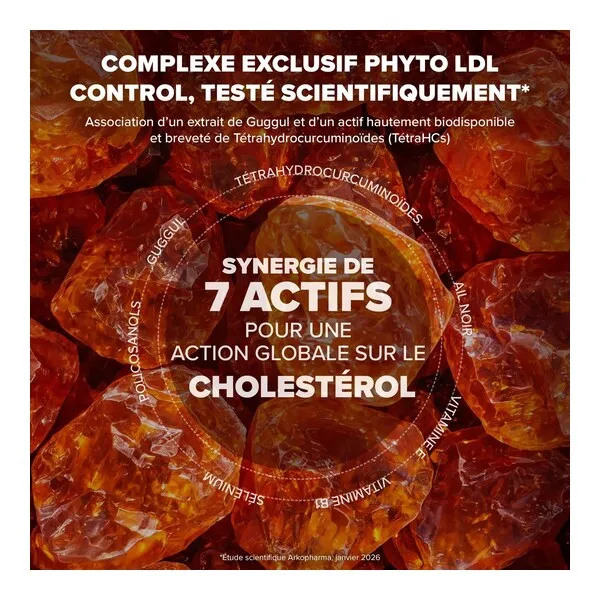 Arkostérol Expert gélules