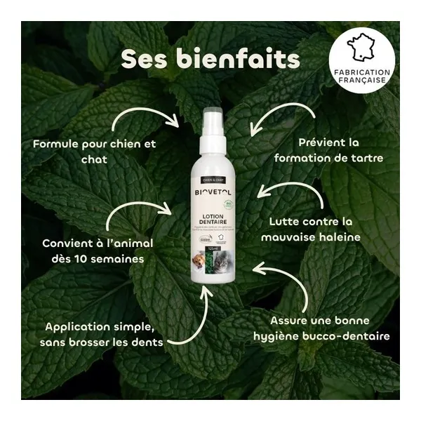 Biovetol Lotion dentaire chien et chat