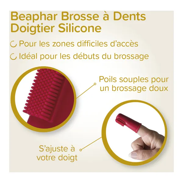 Beaphar Kit dentaire chiot