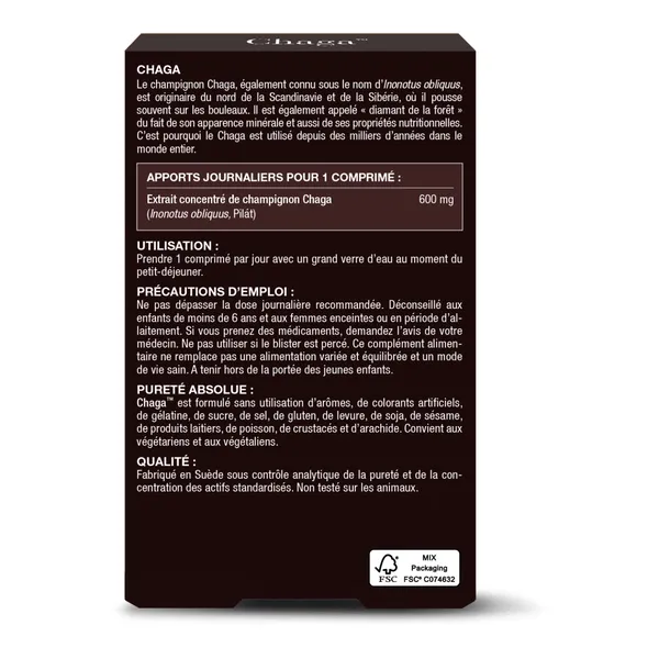 Chaga 600 mg comprimés