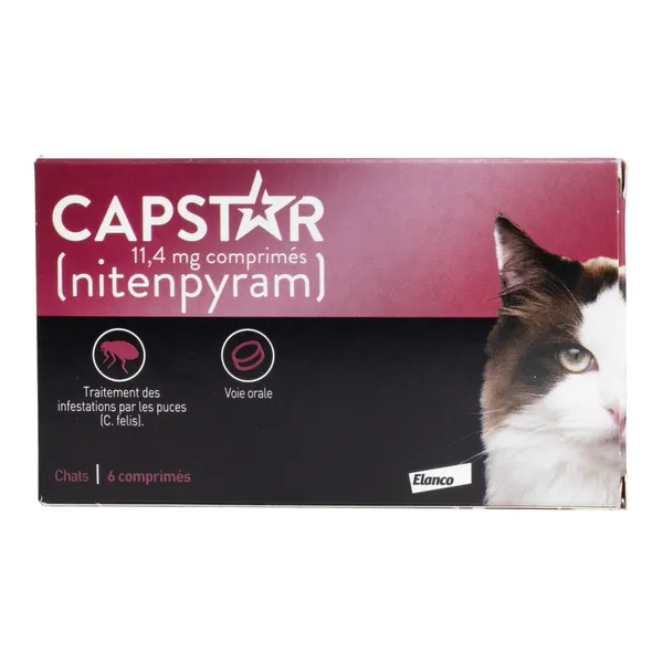 Capstar Chat comprimé anti puce