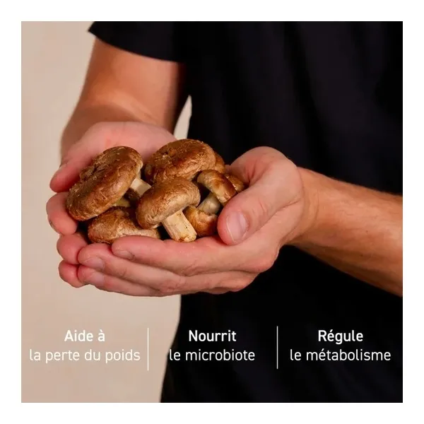 French Mush Shiitake bio gélules