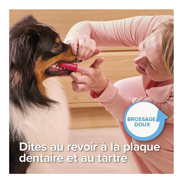 Beaphar Brosse à dents doigtier Chien et Chat