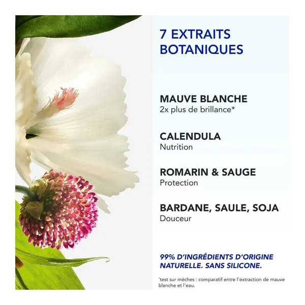 Phyto 7 Elixir crème de jour universelle
